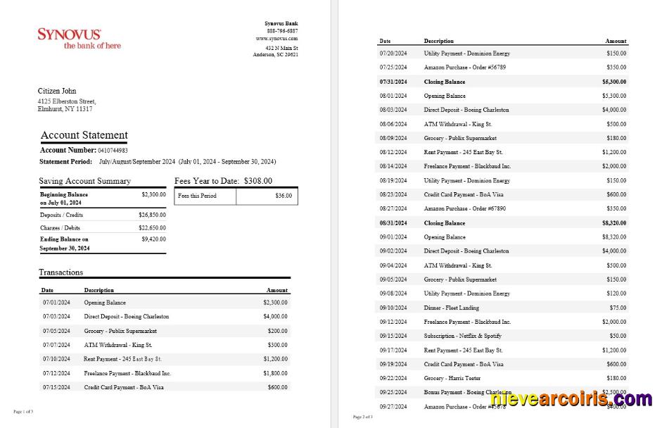 USA Synovus Bank statement Word and PDF, 3 pages
